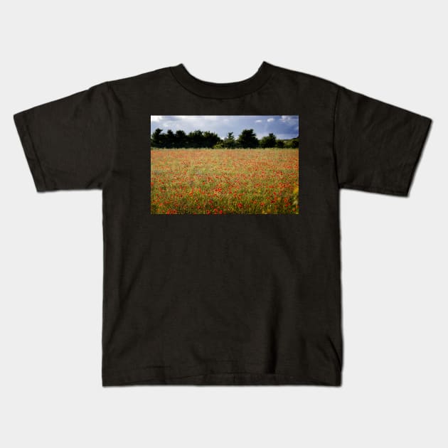 Poppy Field Kids T-Shirt by heidiannemorris